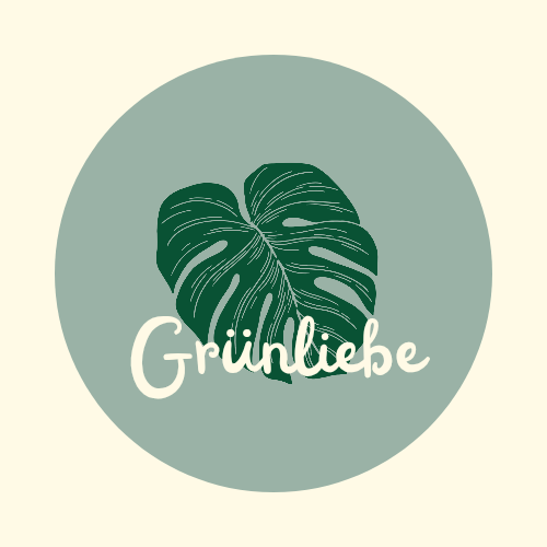 Grünliebe – Dein Ratgeber für Zimmerpflanzen
